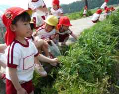 よもぎつみに行ったよ！の画像