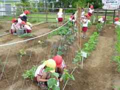 草取りしたよ！の画像