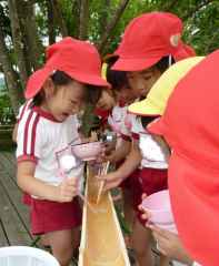 そうめん流し　番外編の画像