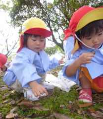 どんぐり拾ったよ！の画像