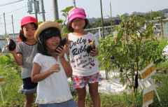 ナスとったどーの画像