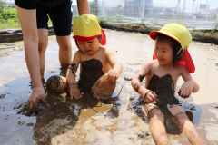 泥んこ祭り４の画像