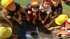 収穫感謝祭にむけての画像