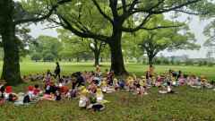 シロツメクサ摘み３の画像