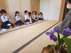 お抹茶始まりましたの画像