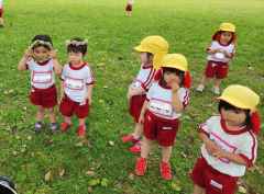 シロツメクサ摘みにいったよの画像