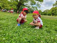 シロツメクサ摘みにいったよ２の画像