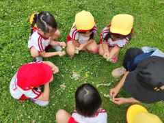 シロツメクサ摘みにいったよ３の画像