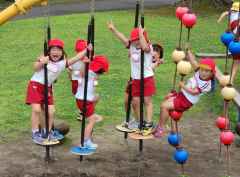 お弁当の日2の画像