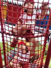 お弁当の日５の画像