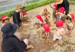 どろんこ祭りの画像