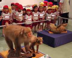 お弁当の日の画像