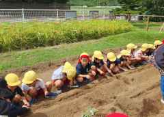 野菜の種まきの画像